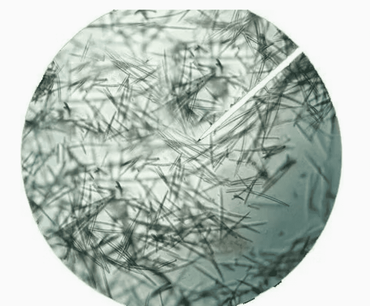Discover the Power of Nature and Science in Skincare